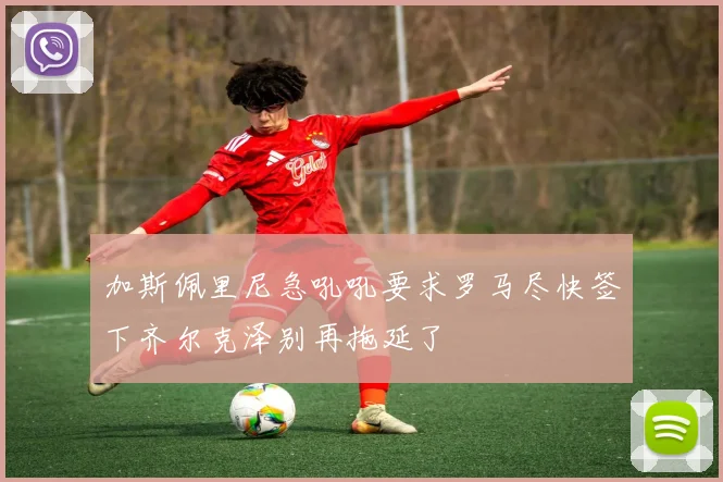 加斯佩里尼急吼吼要求罗马尽快签下齐尔克泽别再拖延了