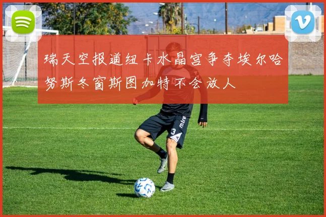 瑞天空报道纽卡水晶宫争夺埃尔哈努斯冬窗斯图加特不会放人